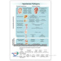 3D Medical Chart ---- Hypertension